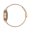 Išmanusis laikrodis MaxCom FW42 GOLD Gold