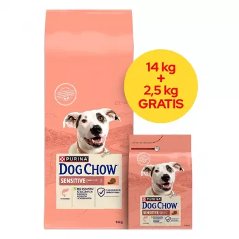 PURINA Dog Chow Sensitive Salmon - sausas šunų maistas - 14 + 2,5 kg