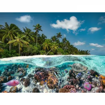 Dėlionė „Ein Dive in the Maldives“ (2000 dalių) – Ravensburger