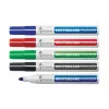 Forpus FO70502 Blue