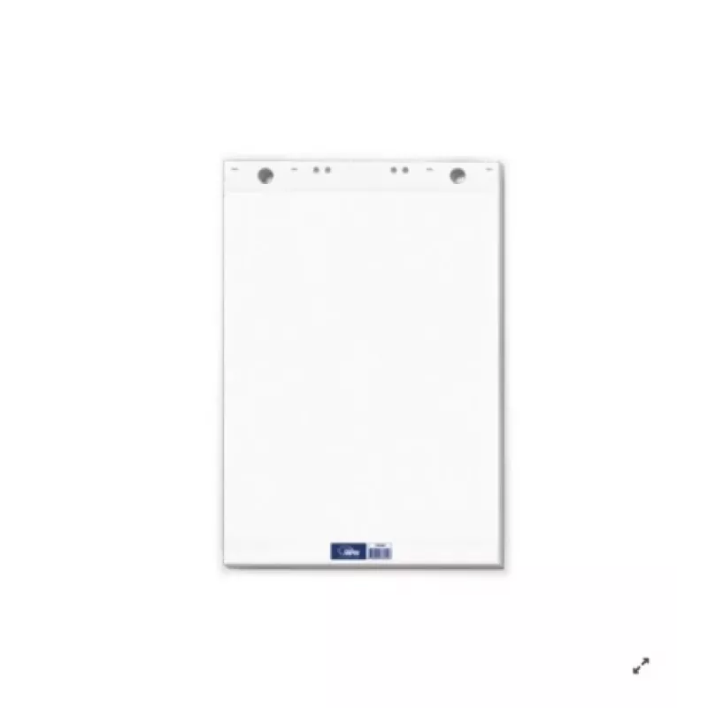 Bloknotas konferencijoms Forpus, 65x100 cm, 80 g, balta (50 lapų) 0715-001