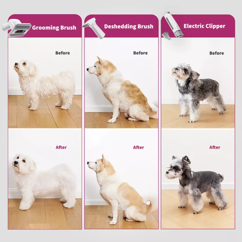 PETKIT DT5-EU kombinuotas siurblys ir plaukų kirpimo mašinėlė katėms ir šunims, juoda/violetinė