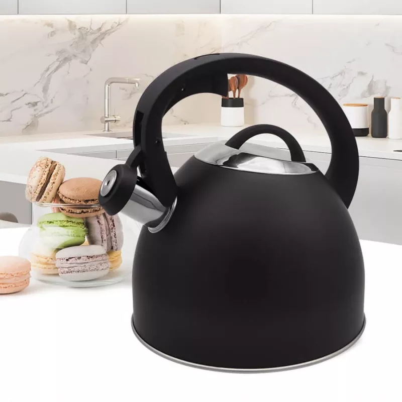 Maestro MR-1325 virdulys 2,5 l, juodas