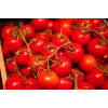 Bajaja Cherry Tomato Toraf daržovių sėklos, 0,3 g pakuotė