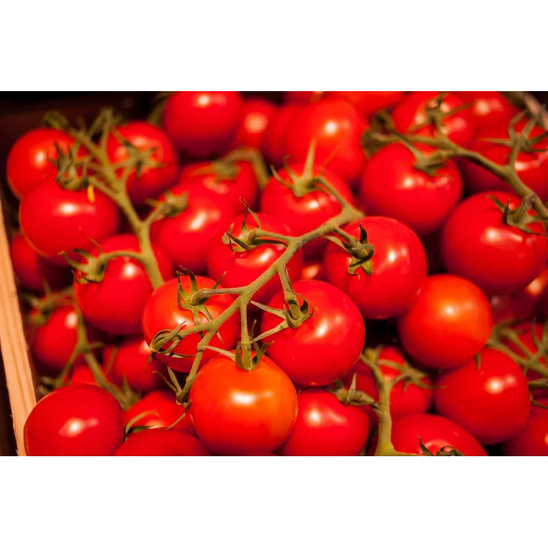 Bajaja Cherry Tomato Toraf daržovių sėklos, 0,3 g pakuotė