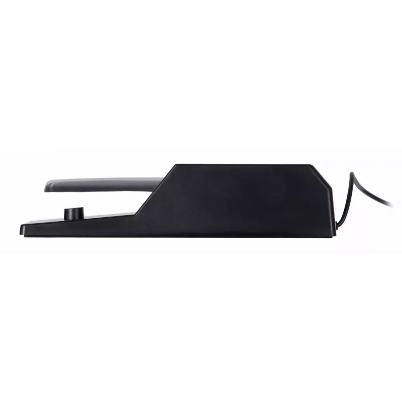M-AUDIO SP-2 Sustain pedal 6.35 mm