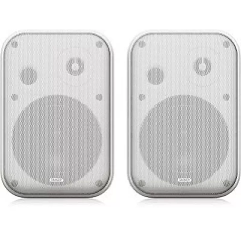 Tannoy 000-EJV00-00010 – originalus Tannoy garsiakalbis