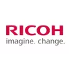 Geltonas developerius Ricoh D0899680/SPEC – keitimo blokas
