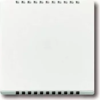 BUSCH JAEGER 6541-84 centrinė dengiamoji plokštė aušinimo sekcijai, skirta įmontuojamam sukamajam reguliatoriui Busch-Dimmer