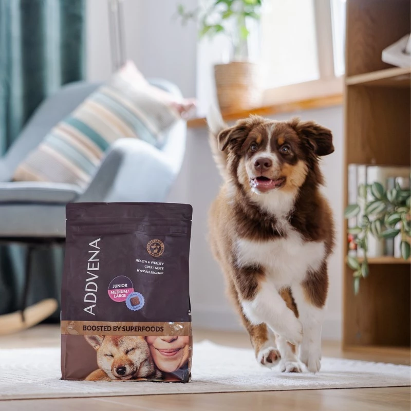 ADDVENA Boosted by superfoods Junior Medium/Large Beef - sausas šunų ėdalas - 10kg