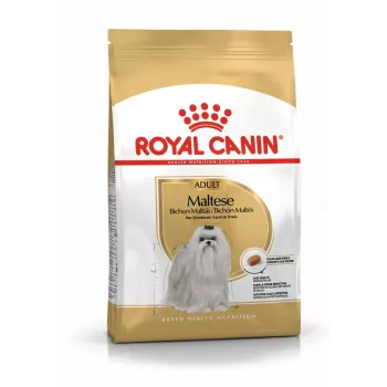 Sausas šunų ėdalas Royal Canin Maltese Adult 1,5 kg – vištiena, 24 % baltymų, 18 % riebalų