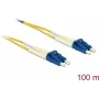 Delock LWL laidas LC Duplex į LC Duplex vienmodis OS2 100 m (80161)