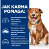HILL'S Prescription Diet Derm Complete - sausas šunų ėdalas - 1,5 kg