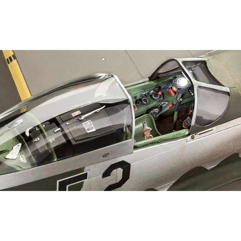 P-51D-5NA Mustang plastikinis modelis 1:32