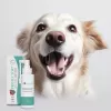 Burnos priežiūros tirpalas JM Sante Vet Protector Fresh 100 ml šunims ir katėms, dantų akmenų prevencija