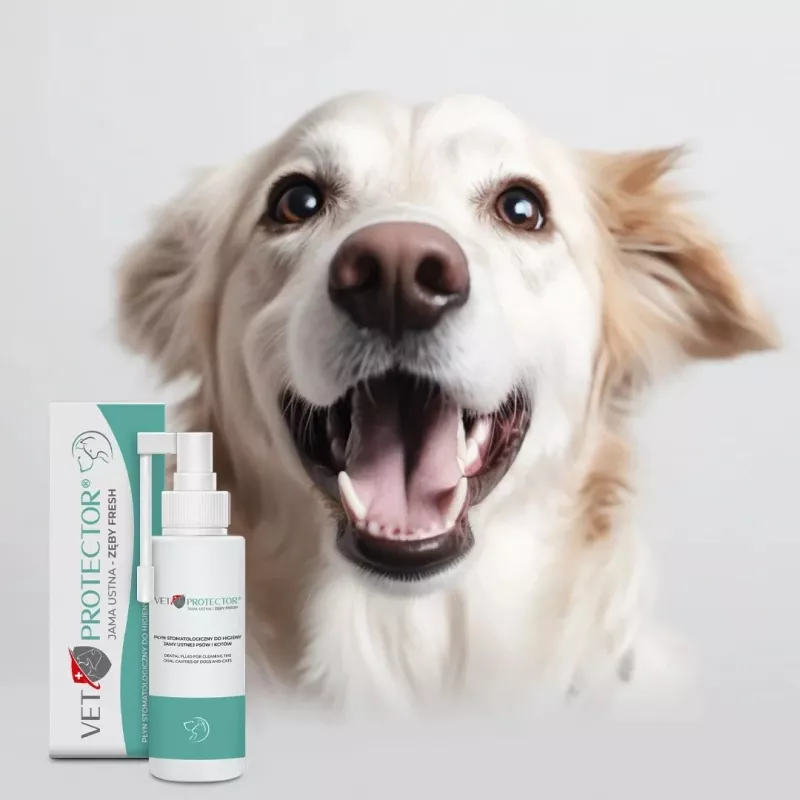 Burnos priežiūros tirpalas JM Sante Vet Protector Fresh 100 ml šunims ir katėms, dantų akmenų prevencija