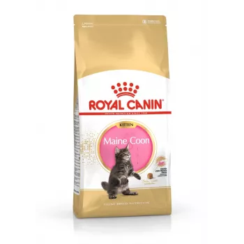 ROYAL CANIN Maine Coon Kitten sausas kačių ėdalas - 4 kg