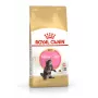ROYAL CANIN Maine Coon Kitten sausas kačių ėdalas - 4 kg