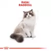 Royal Canin FBN Ragdoll Adult sausas kačių pašaras, 2 kg