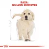 Sausas šunų ėdalas Royal Canin Golden Retriever Junior 12 kg – paukštiena, 29% baltymų, 16% riebalų