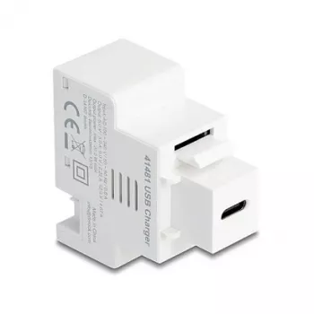 DELOCK Keystone modulis su USB‑C PD 20W įkrovimo lizdu, baltas