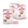 Royal Canin Feline Health Nutrition Kitten Instinctive drebučiuose drėgnas pašaras kačiukams, 12 x 85 g