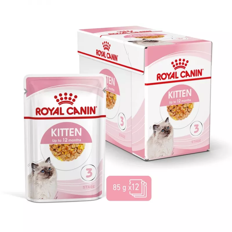 Royal Canin Feline Health Nutrition Kitten Instinctive drebučiuose drėgnas pašaras kačiukams, 12 x 85 g
