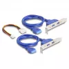 DeLOCK 61066 Vidinė USB 3.2 Gen 1 adapter M.2 kištukinis juodas