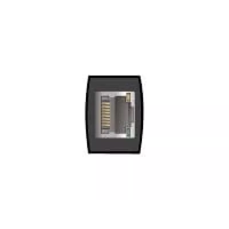 Adapteris USB Type-A (vyriškas) į 2,5 Gigabit LAN DeLOCK 66646