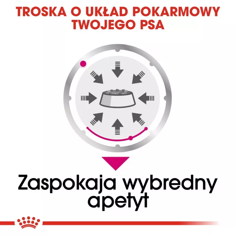 Šlapias šunų ėdalas Royal Canin Exigent Meat Universal 12×85 g — paukštiena, suaugusiems, išrankiems šunims