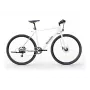 Sharp Gravel E-Dviratis 250W Variklis App 70km Baltas Glanz