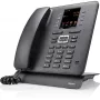 Gigaset Maxwell C IP telefonas juodas TFT