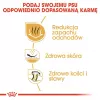 Sausas šunų ėdalas Royal Canin Bulldog Adult 12 kg – suaugusiems buldogams, vištienos skonis, 24% baltymų, 14% riebalų