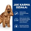 HILL's Prescription Diet Food Sensitivites z/d - sausas šunų ėdalas - 10 kg
