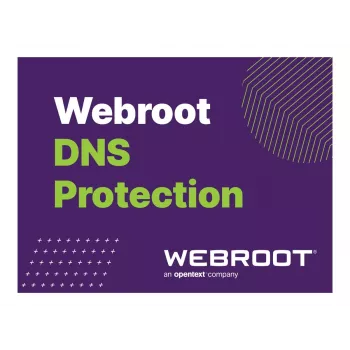 Webroot DNS Protection su GSM Console | 2 metai | Licencija 10-99 vartotojų