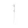Apple USB-C į Lightning laidas (1 m)