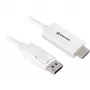 DisplayPort 1.2 adapterinis kabelis Sharkoon 4K, 1 m