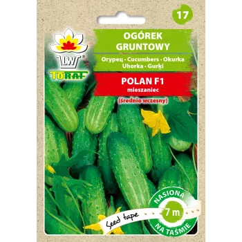 Agurkų Polan F1 sėklos ant juostos, 6 m juosta