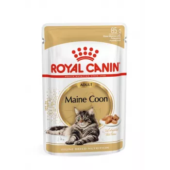 ROYAL CANIN FBN Maine Coon - šlapias ėdalas katėms - paketėlis 12x 85g
