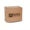 Zebra P1058930-013 spausdinimo galvutė termoperkėlimui
