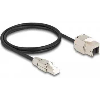 DeLOCK kabelis RJ45 kištukas lauko montavimui į Keystone modulį RJ45 lizdas Cat.6A 1 m