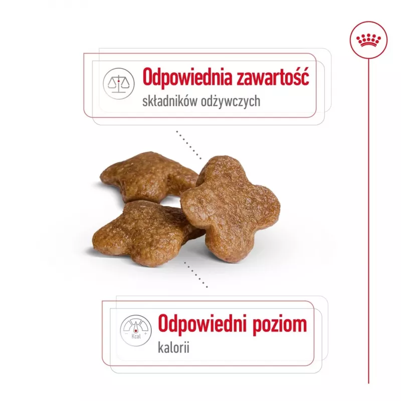 Sausas šunų ėdalas Royal Canin Mini Adult 8+ 2 kg – mažoms veislėms 5–10 kg, paukštiena, svorio kontrolės formulė