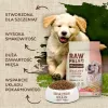 Sausas šunų ėdalas šuniukams VETEXPERT Raw Paleo Healthy Grain Puppy Salmon and Barley 10 kg, baltymai 29%, riebalai 17%, drėgmė 9%