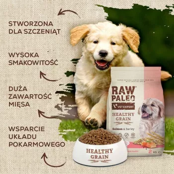 Sausas šunų ėdalas šuniukams VETEXPERT Raw Paleo Healthy Grain Puppy Salmon and Barley 10 kg, baltymai 29%, riebalai 17%, drėgmė 9%