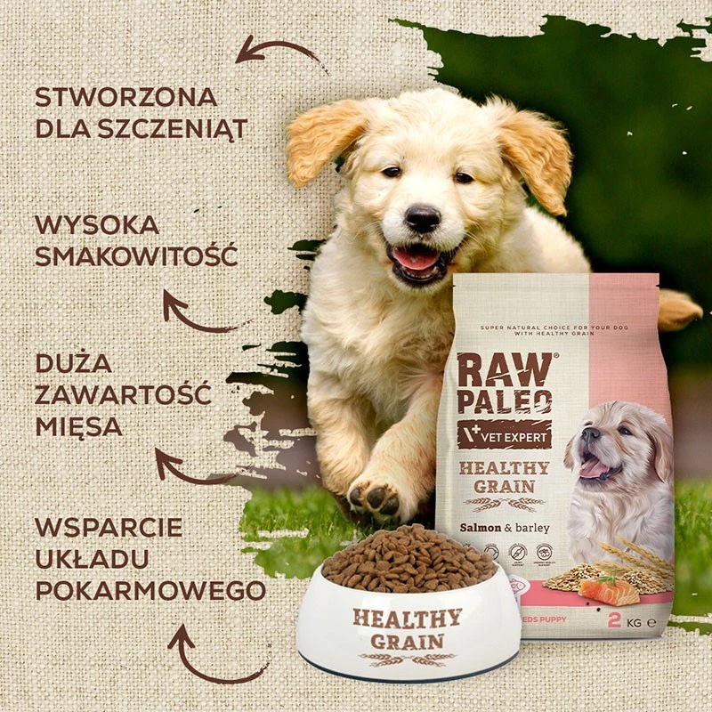 Sausas šunų ėdalas šuniukams VETEXPERT Raw Paleo Healthy Grain Puppy Salmon and Barley 10 kg, baltymai 29%, riebalai 17%, drėgmė 9%