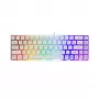 Klaviatūra White Shark RONIN balta USB QWERTY 68 klavišų LED