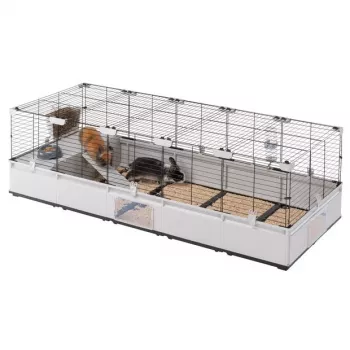 FERPLAST Modular 4 narvas triušiams ir jūrų kiaulytėms - 179 x 72 x 56 cm