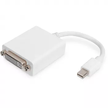 Adapteris DisplayPort Digitus AK-340406-001-W Mini DisplayPort į DVI-D 0,15 m baltas