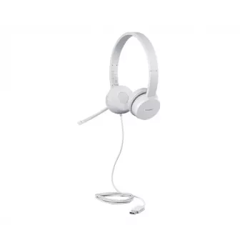 Lenovo GXD1E71385 ausinės / headset Laidinės USB-A Pilka