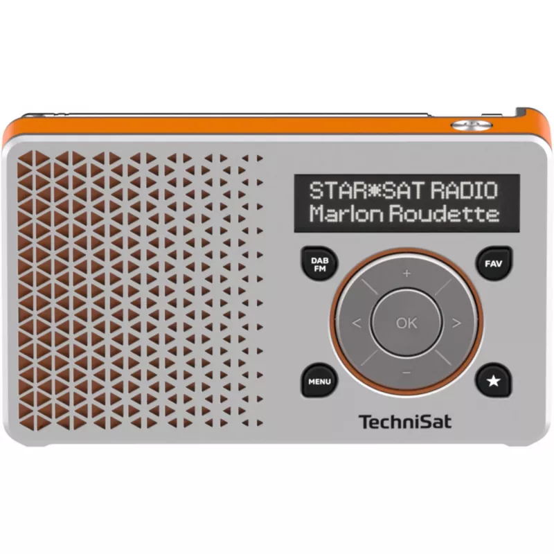 Technisat 0003/4997 sidabrinis